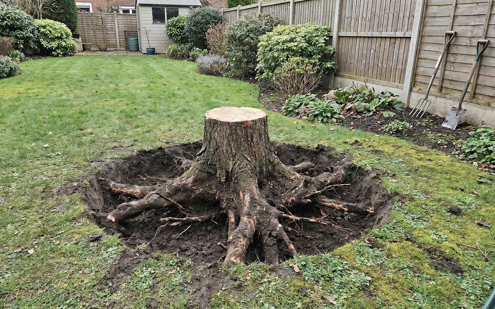 Ben Roberts Tree Surgery Work