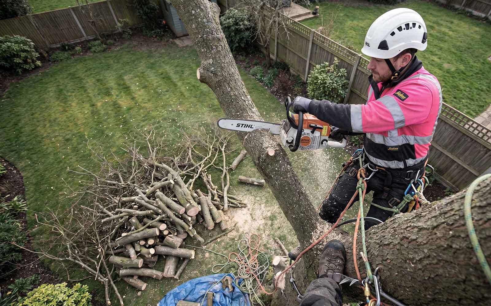 Ben Roberts Tree Surgery Work