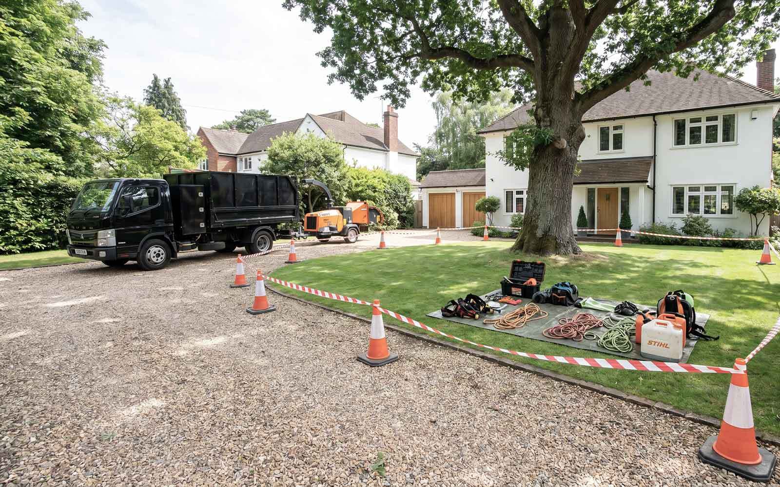 Ben Roberts Tree Surgery Work